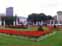 Garden 4