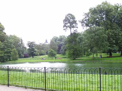 Garden 2